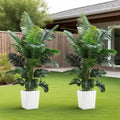 Palm tree plant