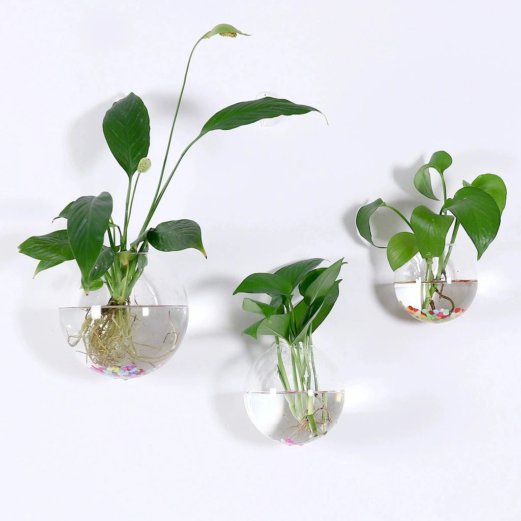 Hanging Glass Terrarium