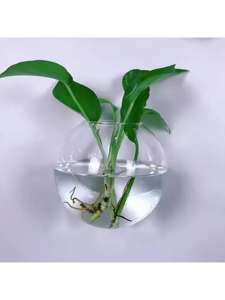 Hanging Glass Terrarium