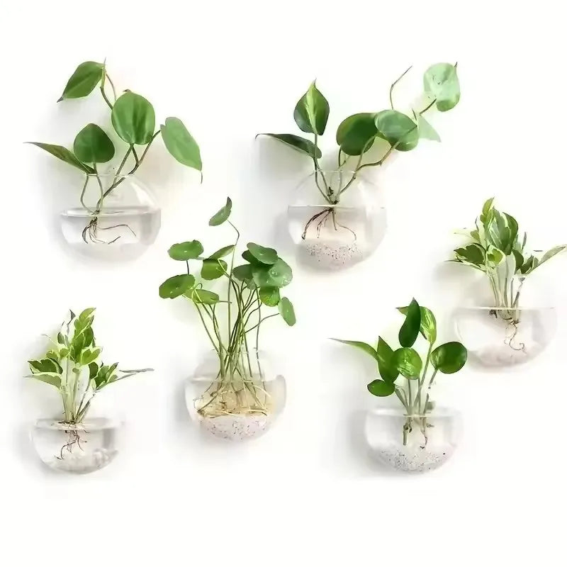 Hanging Glass Terrarium