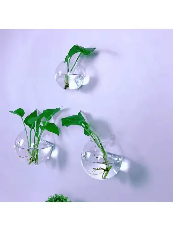 Hanging Glass Terrarium