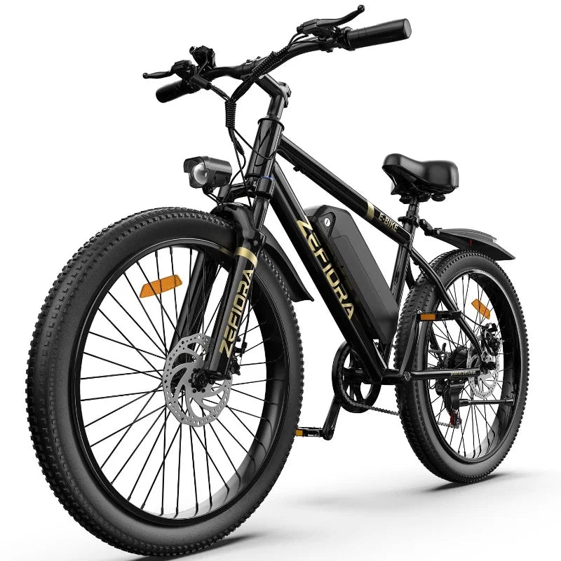 Electric Bicycle