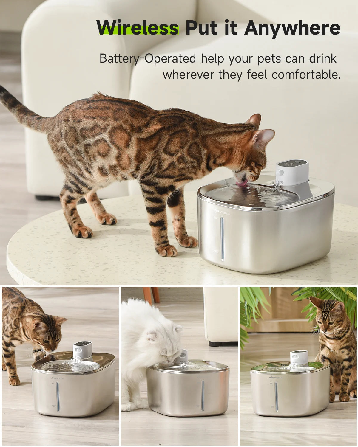 Drinking fountain for cats/dogs