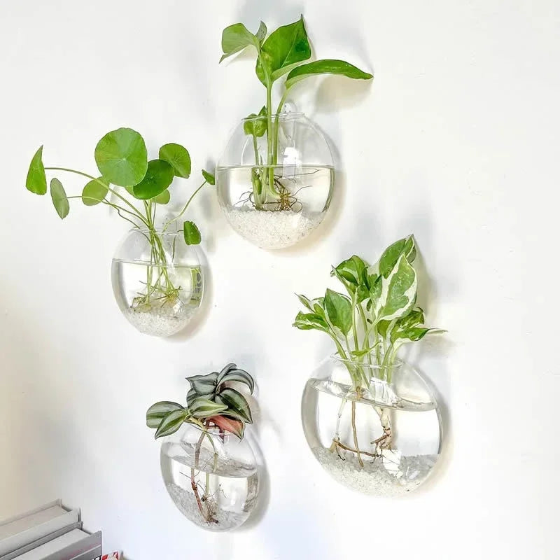 Hanging Glass Terrarium