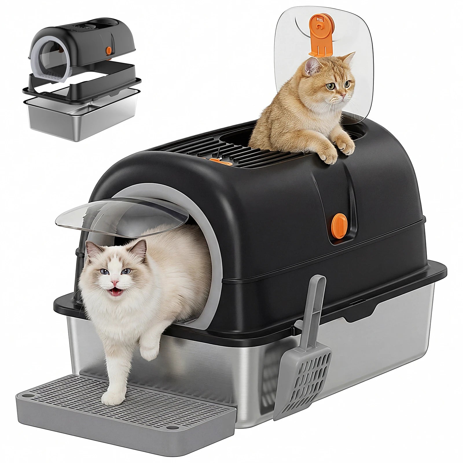 Cat box