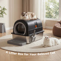Cat box