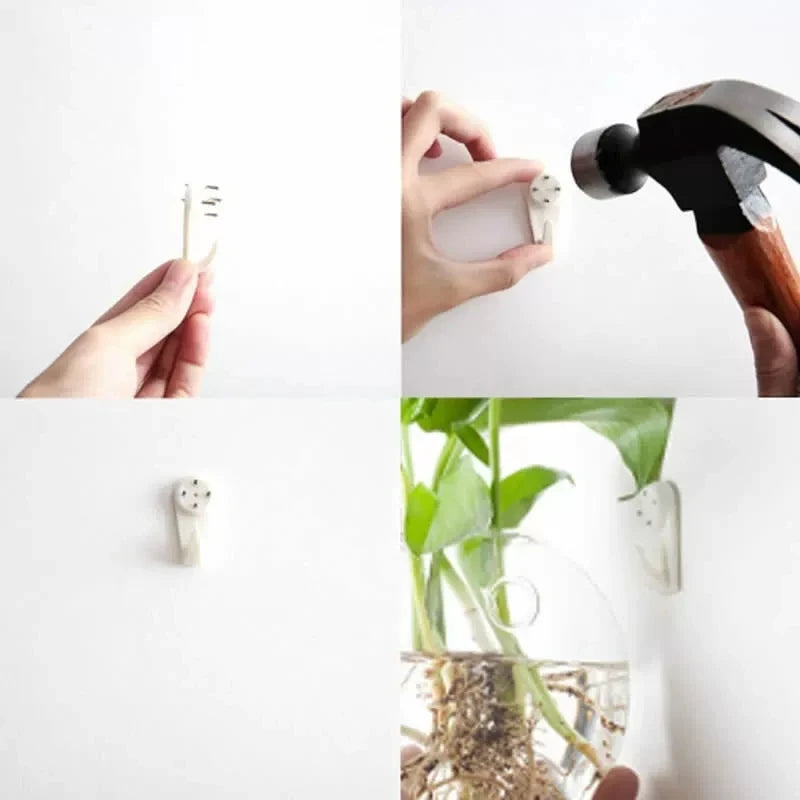 Hanging Glass Terrarium