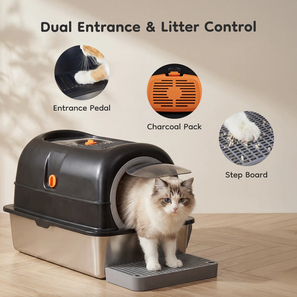 Cat box