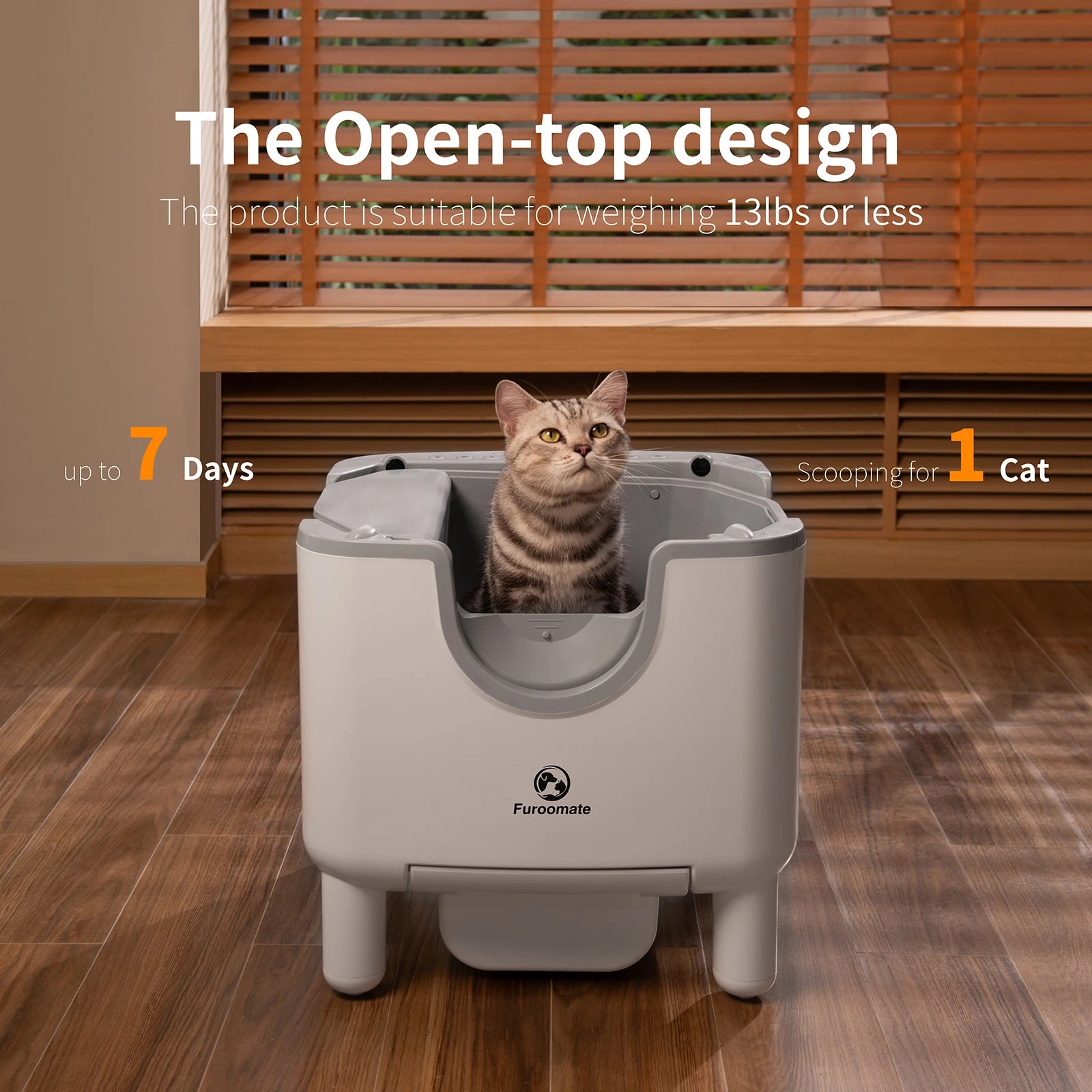 Self-Cleaning Litter Box