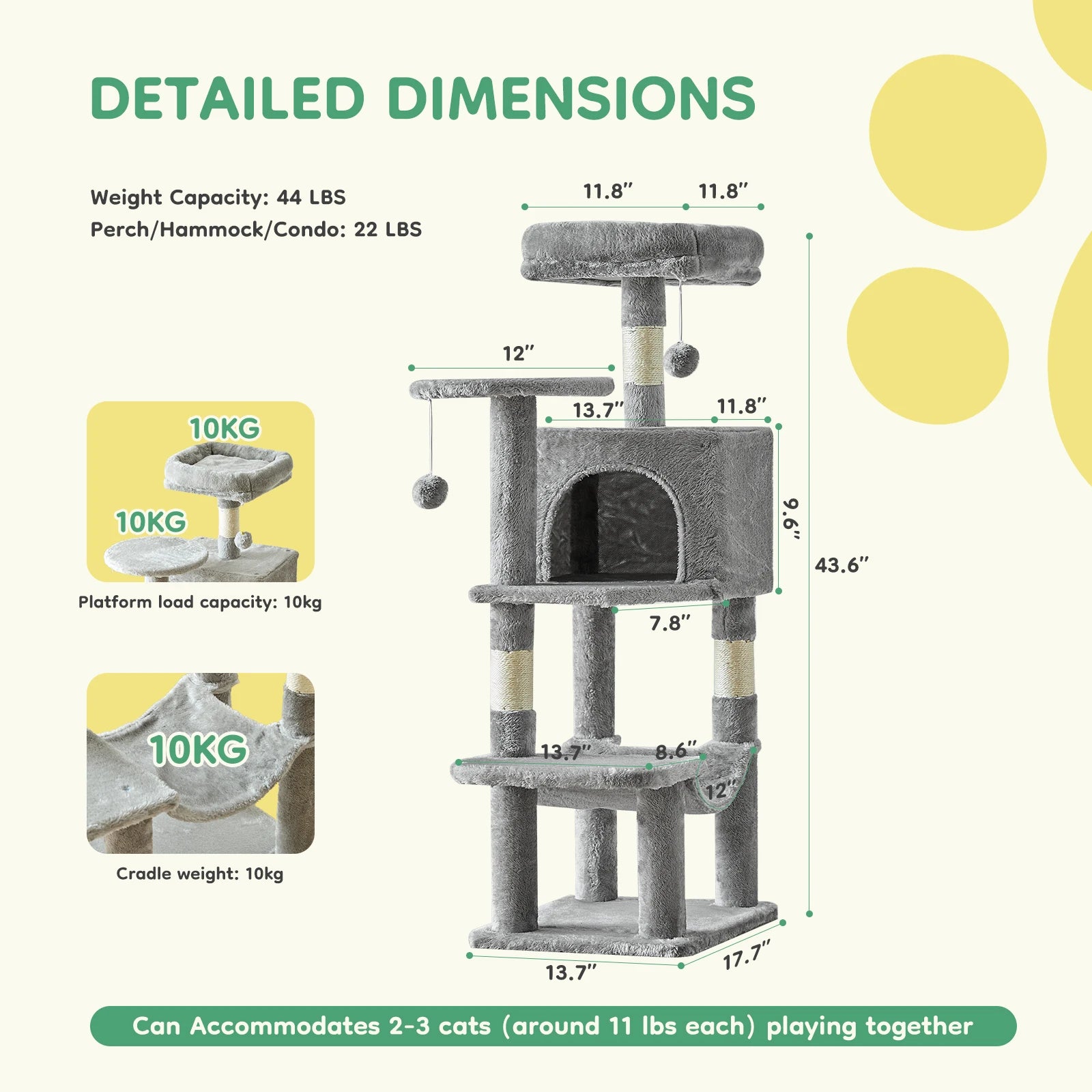 Pet Furniture
