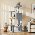 Pet Furniture