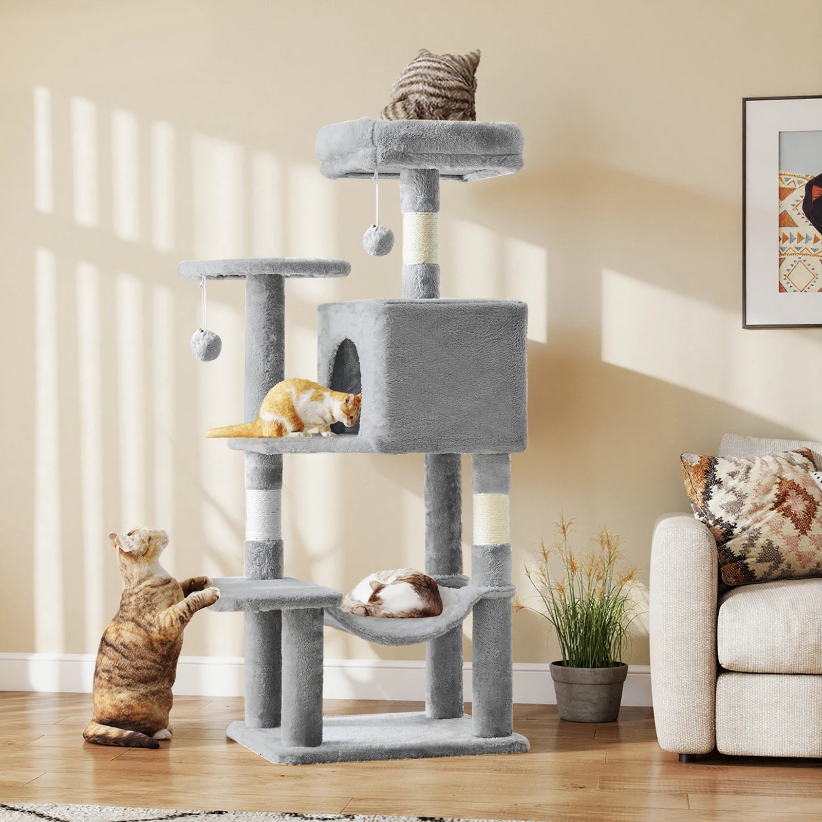 Pet Furniture